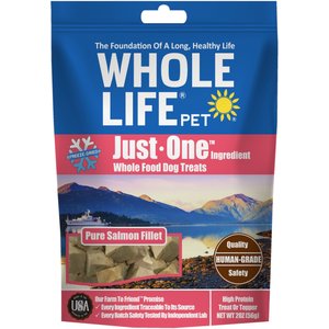 Whole Life Just One Ingredient Pure Salmon Fillet Freeze-Dried Dog Treats, 2-oz bag