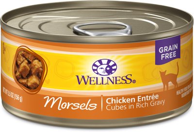 Wellness Morsels Chicken Entree Grain-Free Canned Cat Food, slide 1 of 1
