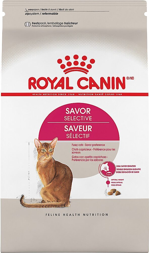 dry cat food for finicky cats