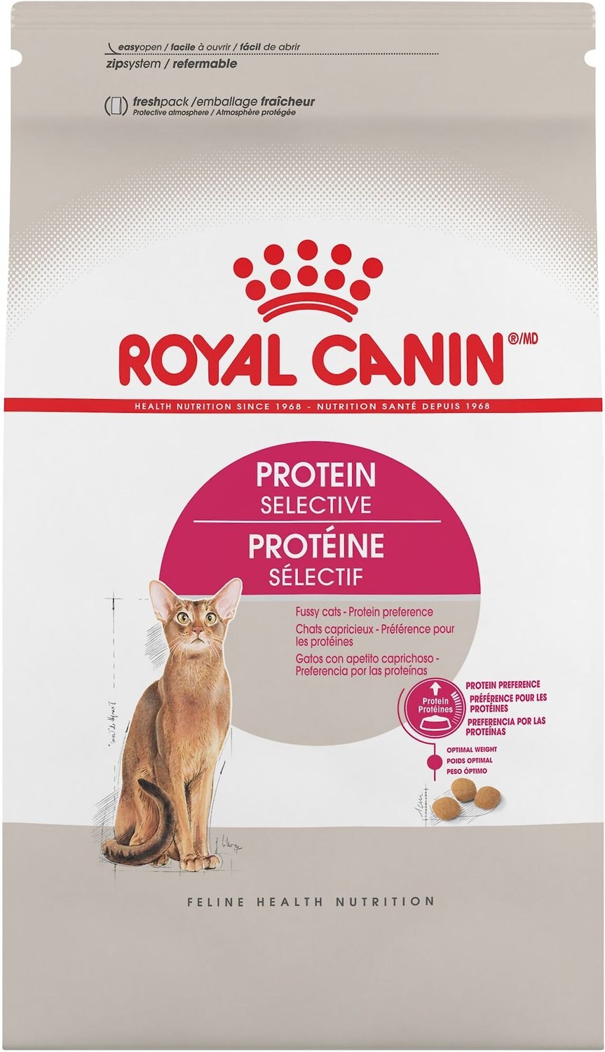 high protein dry cat food