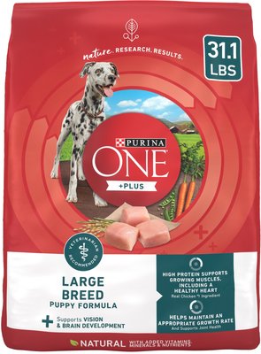 Purina ONE Natural High Protein +Plus Large Breed Formula Dry Puppy Food, slide 1 of 1