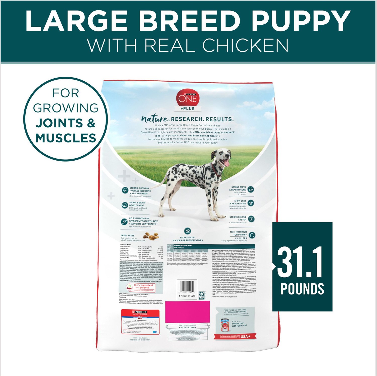 Purina ONE SmartBlend Large Breed Puppy Formula Dry Dog ...