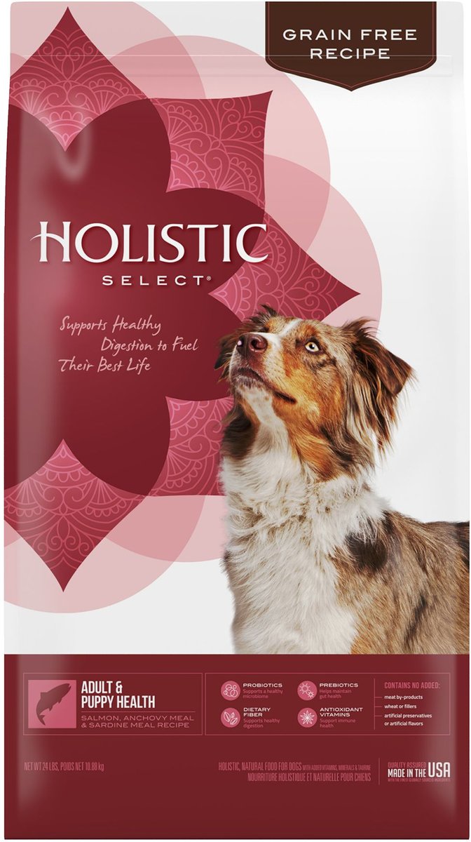 Holistic Select Natural Grain Free Dry Dog Food, Salmon, Anchovy & Sardine Recipe
