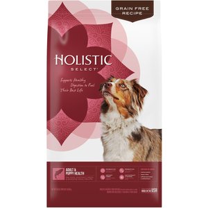 Holistic Select Adult & Puppy Grain-Free Salmon, Anchovy & Sardine Meal Recipe Dry Dog Food, 24-lb bag
