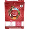 Purina ONE SmartBlend Skin & Coat Formula Adult Premium Dry Dog Food, 16.5-lb bag