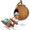 SunGrow Hermit Crab Raw Coconut Durable Cave Habitat with Hanging Loop & Ladder, Natural