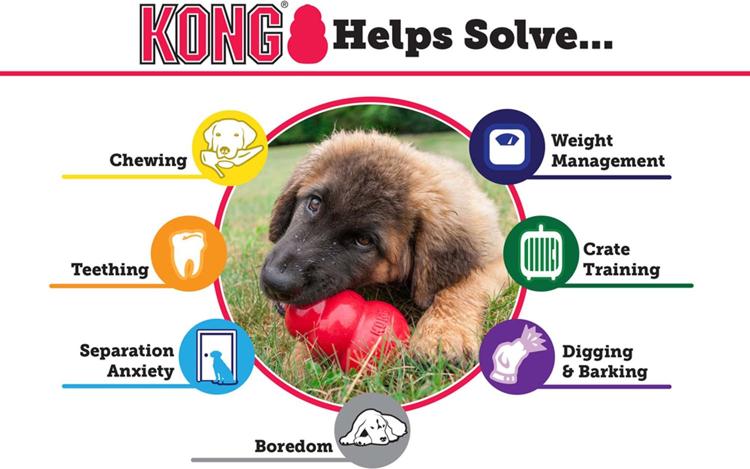 Kong Dog Toy Size Chart