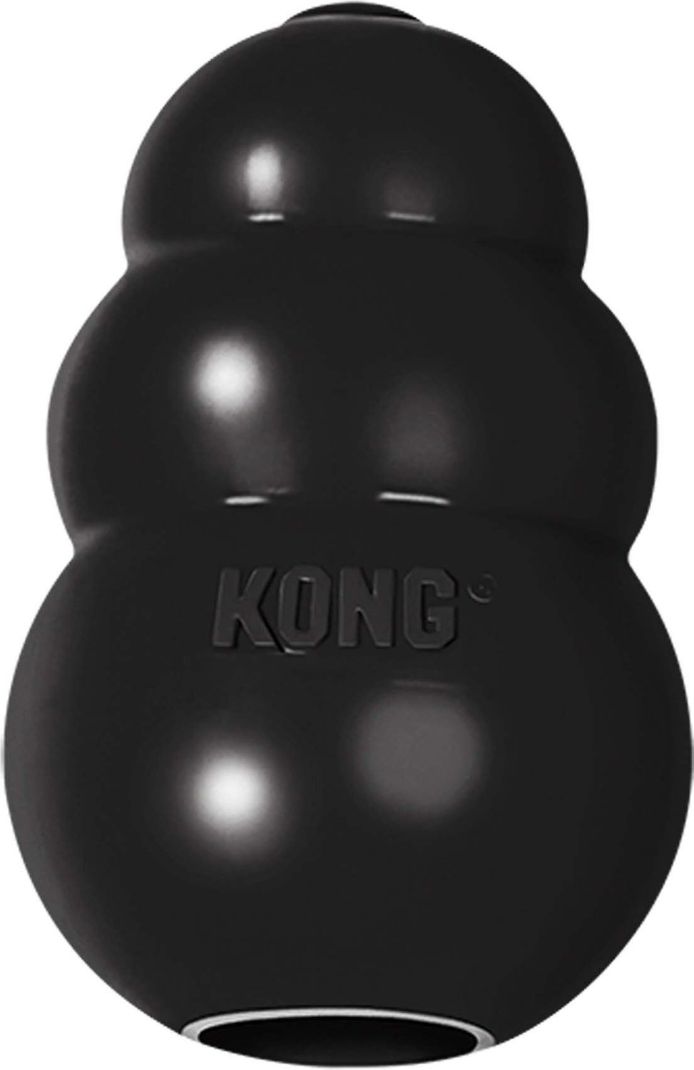 kong puppy toy