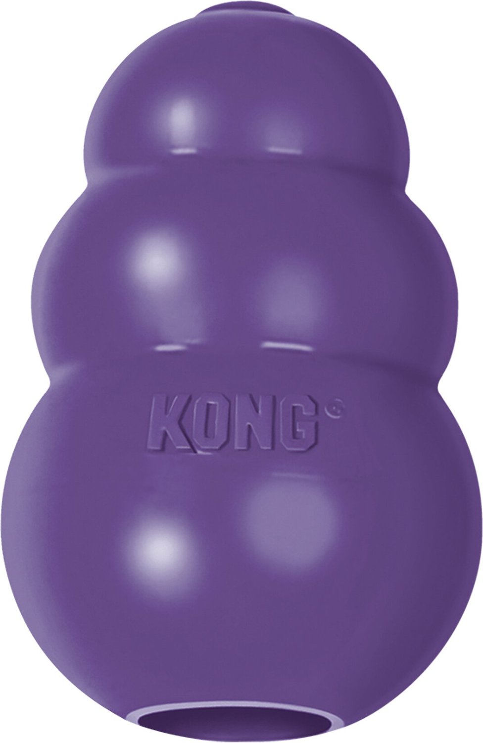 the kong dog toy