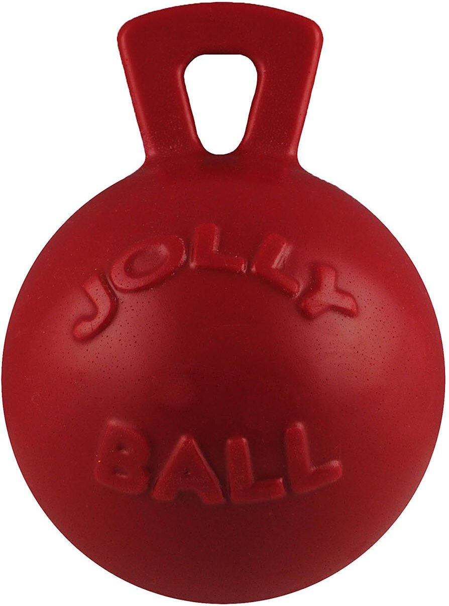 ball tossing toy for dogs