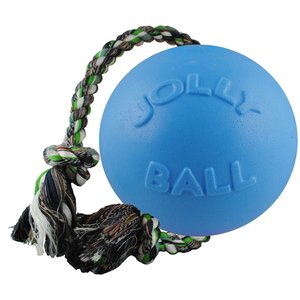 Jolly Pets Romp-n-Roll Dog Toy, Blueberry, 6-in