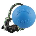 Jolly Pets Romp-n-Roll Dog Toy, Blueberry, 8-in