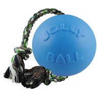 Jolly Pets Romp-n-Roll Dog Toy, Blueberry