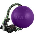 Jolly Pets Romp-n-Roll Dog Toy, Purple, 6-in