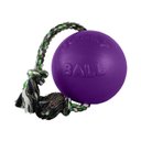 Jolly Pets Romp-n-Roll Dog Toy, Purple, 8-in