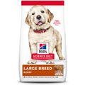 Hill's Science Diet Puppy Large Breed Lamb Meal & Rice Recipe Dry Dog Food, 33-lb bag