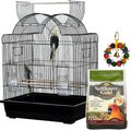 Small Bird Starter Kit: A&E Cage Company 32-in Victorian Open Top Bird Cage, Black, Medium + 2 other items