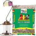 Bird Starter Kit- Perky-Pet Panorama Bird Feeder, Copper + 2 other items