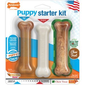 Best Budget Chewable Toy