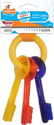 Nylabone Puppy Chew Teething Keys Dog Toy, Small - Chewy.com