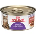 Royal Canin Spayed/Neutered Thin Slices in Gravy Canned Cat Food, 3-oz, case of 24