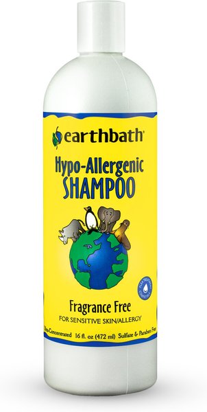 Earthbath Hypo-Allergenic Dog & Cat Shampoo, 16-oz bottle slide 1 of 4
