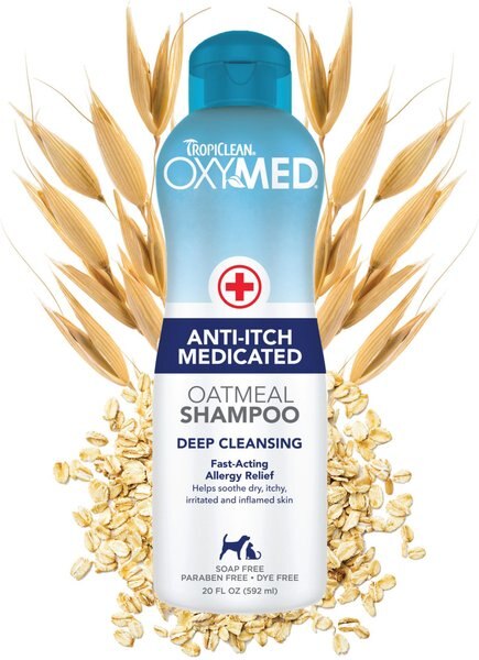 TropiClean OxyMed Medicated Anti-Itch Oatmeal Dog & Cat Shampoo, 20-oz bottle slide 1 of 10