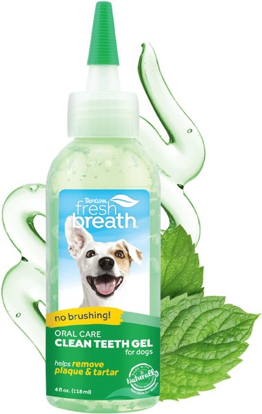 TropiClean Fresh Breath Oral Care Clean Teeth Dog Dental Gel, 4-oz bottle slide 1 of 10