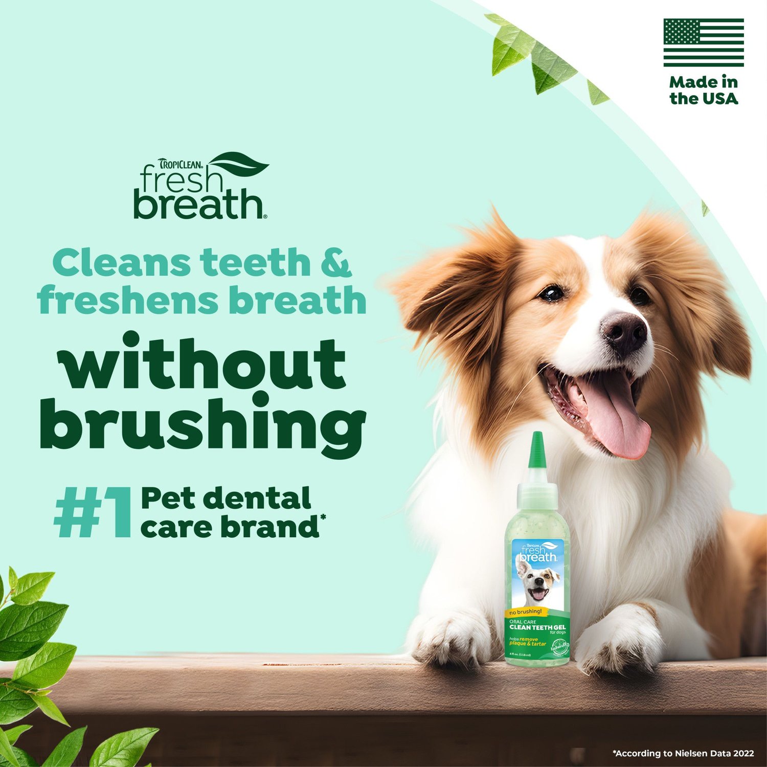 fresh dental brushing gel for dogs