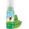 TropiClean Fresh Breath Mint Foam for Dogs, 4.5-oz bottle