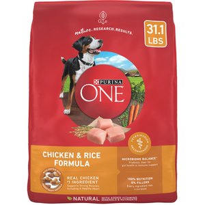 Purina ONE Natural SmartBlend Chicken & Rice Formula Dry Dog Food, 31.1-lb bag