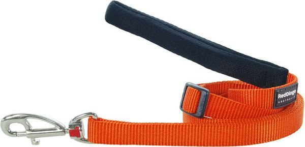 Red Dingo Classic Nylon Dog Leash, Orange, X-Small: 6-ft long, 1/2-in wide slide 1 of 8