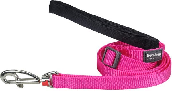 Red Dingo Classic Nylon Dog Leash, Hot Pink, Large: 6-ft long, 1-in wide slide 1 of 8