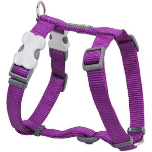Red Dingo Classic Nylon Back Clip Dog Harness, Purple, Large: 22 to 31.5-in chest