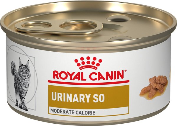 Royal Canin Veterinary Diet Adult Urinary SO Moderate Calorie Morsels in Gravy Canned Cat Food, 3-oz, case of 24 slide 1 of 8
