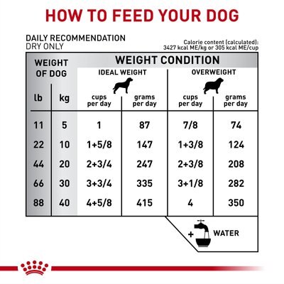 Royal Canin Veterinary Diet Gastrointestinal Moderate Calorie Dry Dog