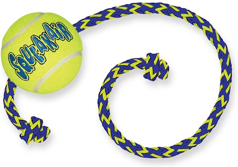 ball and rope dog toy