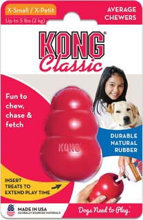 kong pet products