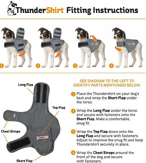 Thundershirt Size Chart For Dogs