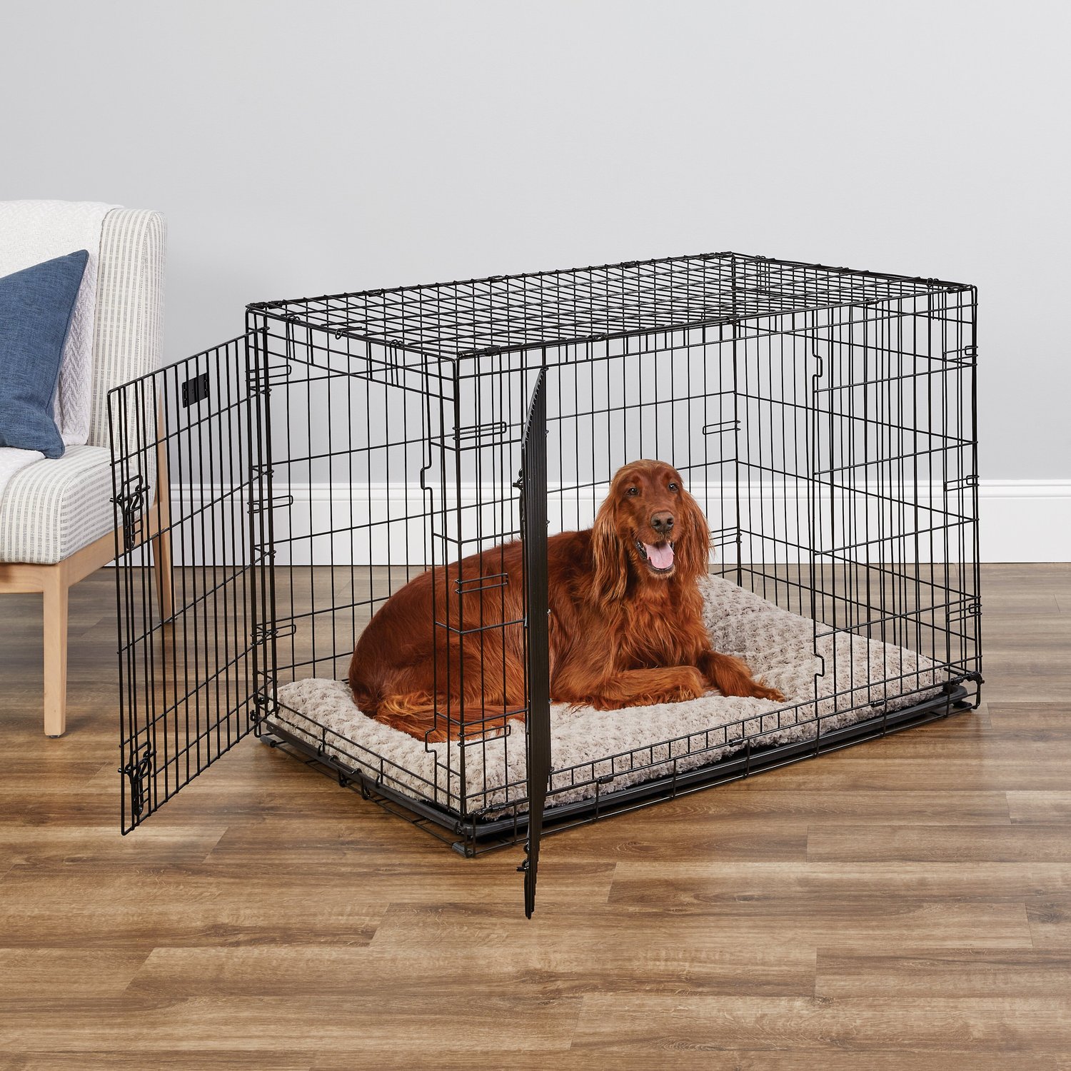 2 Dog Bowls & Pet Bed 1-Year Warranty on ALL Items The Perfect Kit for Your New Dog Includes a Dog Crate MidWest iCrate Starter Kit Dog Crate Cover 