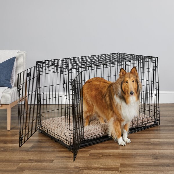 MidWest iCrate Fold & Carry Double Door Collapsible Wire Dog Crate, 48 inch slide 1 of 11