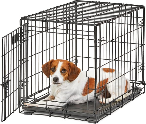 MidWest LifeStages Single Door Collapsible Wire Dog Crate, 24 inch slide 1 of 10