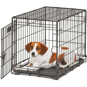 MidWest LifeStages Single Door Collapsible Wire Dog Crate