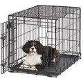 MidWest LifeStages Single Door Collapsible Wire Dog Crate, 30 inch