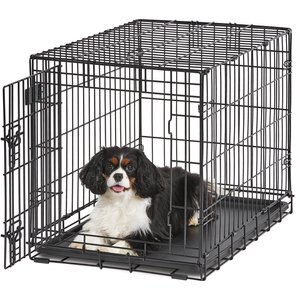 MidWest LifeStages Single Door Collapsible Wire Dog Crate, 30 inch