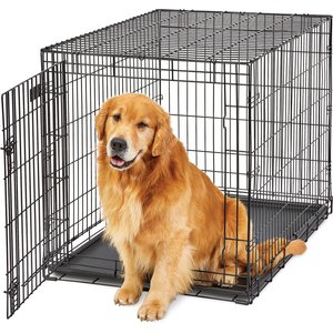 MidWest LifeStages Single Door Collapsible Wire Dog Crate, 42 inch