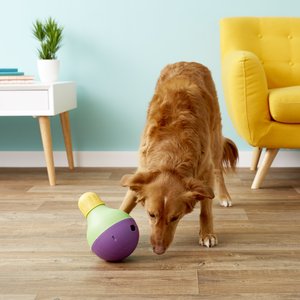 Starmark Treat Dispensing Dog Toy