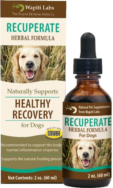 Wapiti Labs Recuperate Formula for Healthy Recovery Dog Supplement, 2-oz bottle slide 1 of 9
