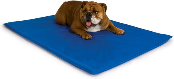 K&H Pet Products Cool Bed III Dog Pad, Blue, Medium slide 1 of 10