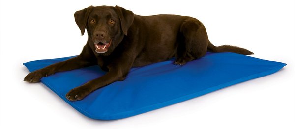 K&H Pet Products Cool Bed III Dog Pad, Blue, Large slide 1 of 10